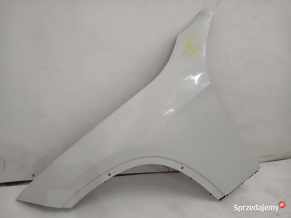 BŁOTNIK LEWY PRZEDNI BMW X1 E84 LIFT 300 lubelskie Strzyżewice