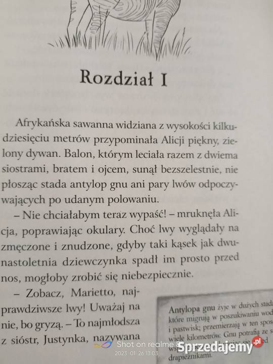 Tajemnica gwiezdnego jeziora Stelmaszek terra Warszawa sprzedam