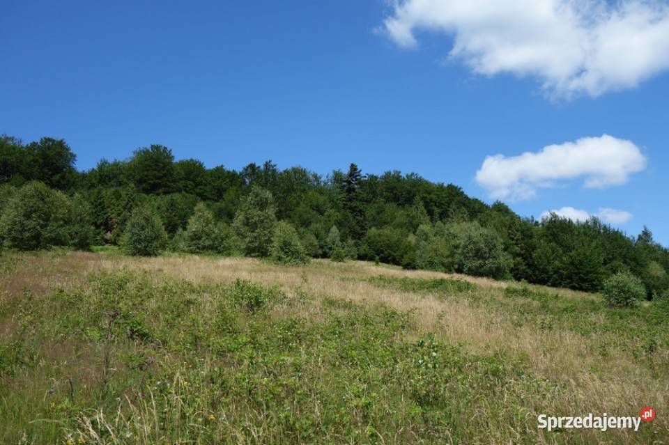 Brenna 253 ha pod zabudowe i domki letniskowe Sprzedaż