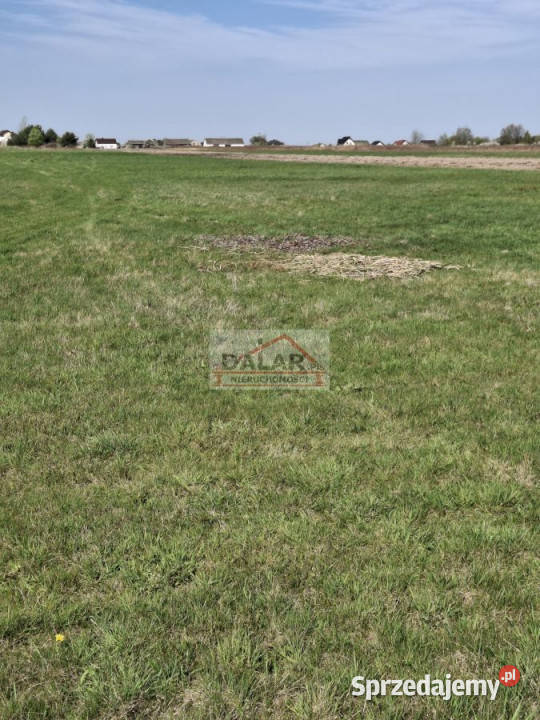 Grunt 3000m2 Nowe Wągrodno sprzedam