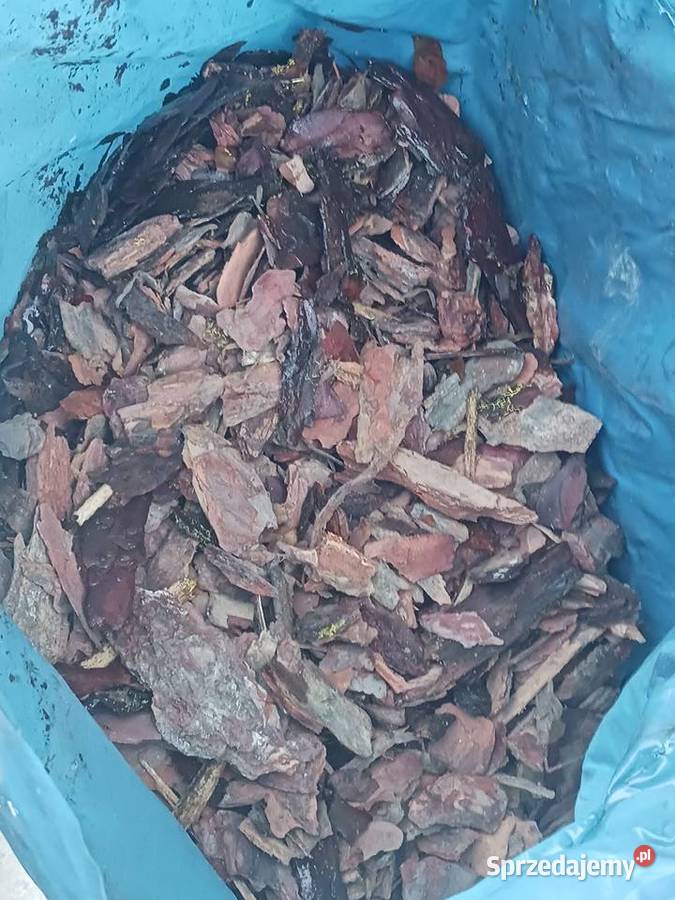 Kora sosnowa średnia 80L Kraków