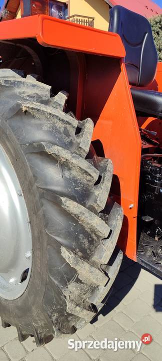 Massey Ferguson 255 Zadbany małopolskie