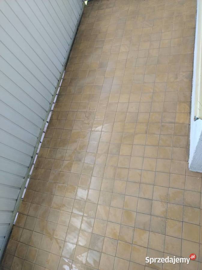 Czyszczenie Balkonów Gołębiach i tarasów Kraków