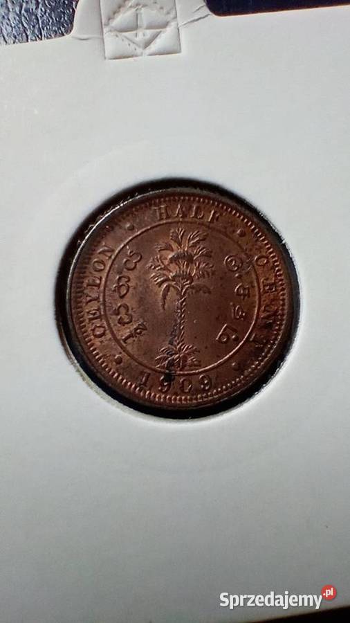 Stare monety 12 cent 1909 Cejlon Numizmatyka podkarpackie