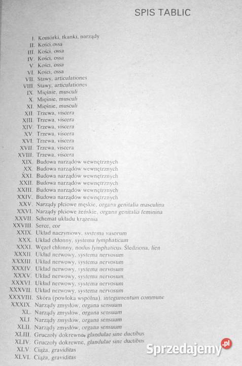Mały atlas anatomiczny Witold Sylwanowicz Książki i Podręczniki