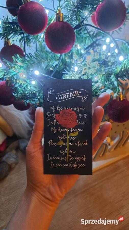 Zakładki Stray Kids Żelazków