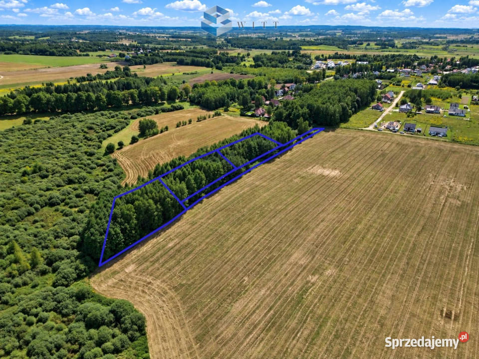 sprzedaży gruntu Zwierzewo 3124m2 warmińsko-mazurskie
