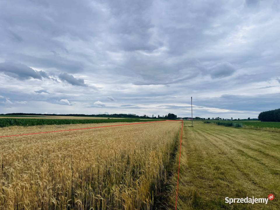 162 ha Siedlisko 4 ary działka orna i łąki Sprzedaż