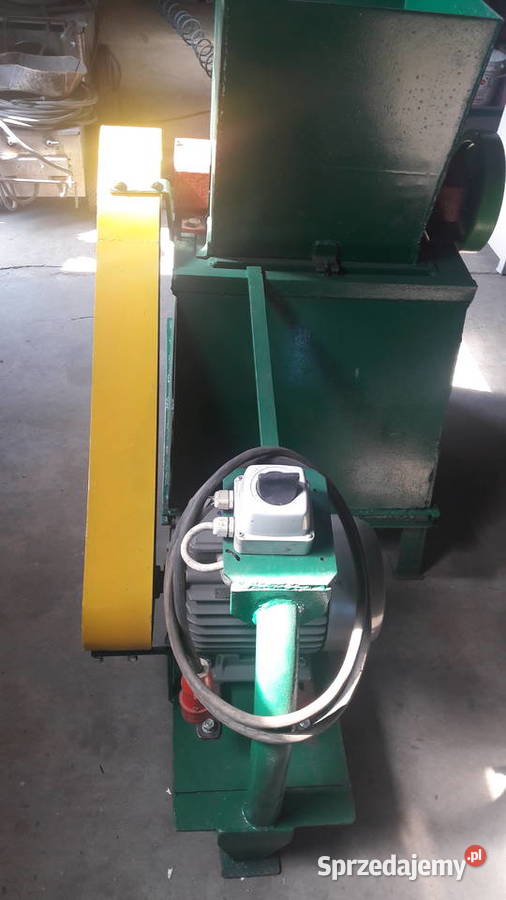 Kościarka wilk Radzewo