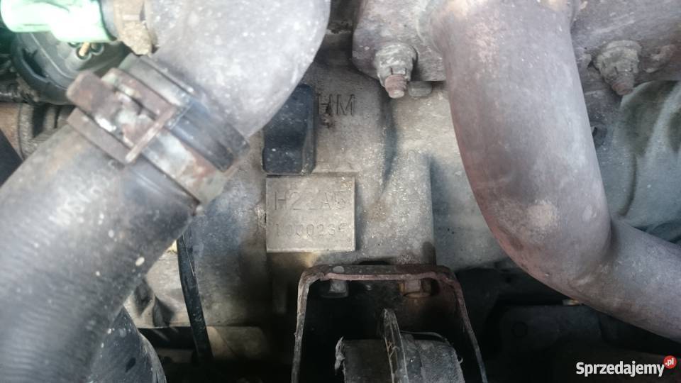 H22a5 honda accord drugi accord na czesci Tarnów sprzedam