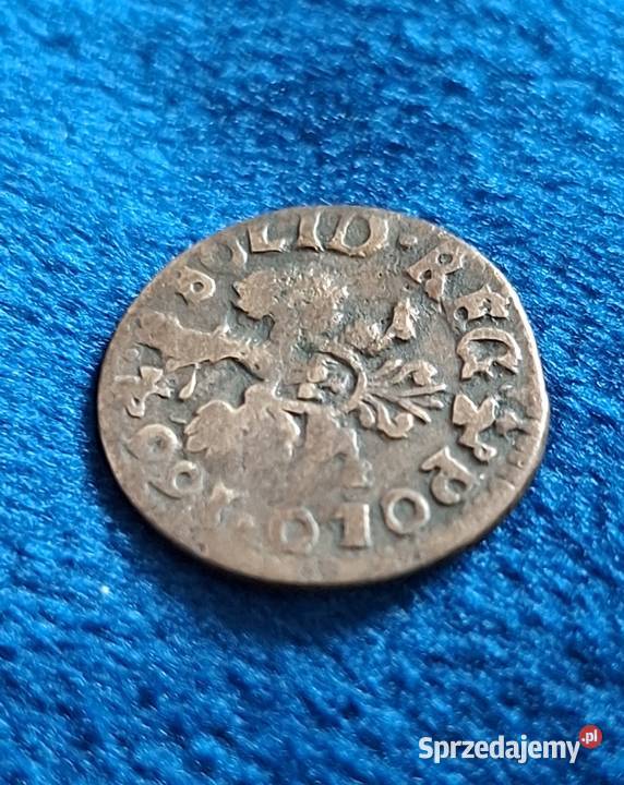 Szeląg Jan II Kazimierz koronny 16591668 Numizmatyka Wejherowo