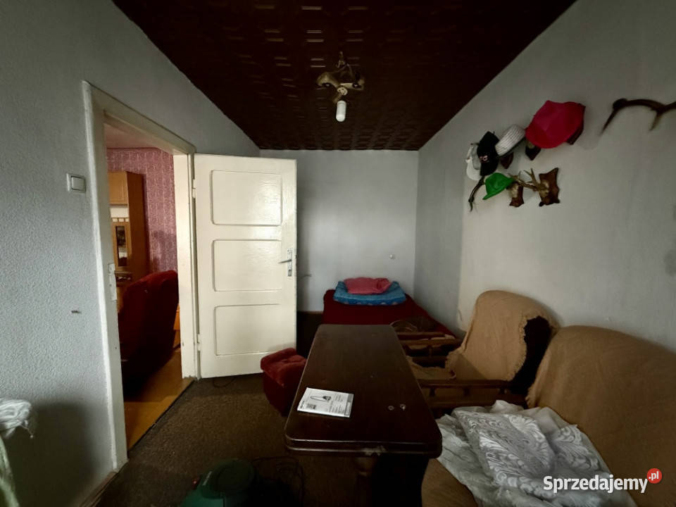 Okazja Dom do remontu samym lesie Żory Sprzedaż