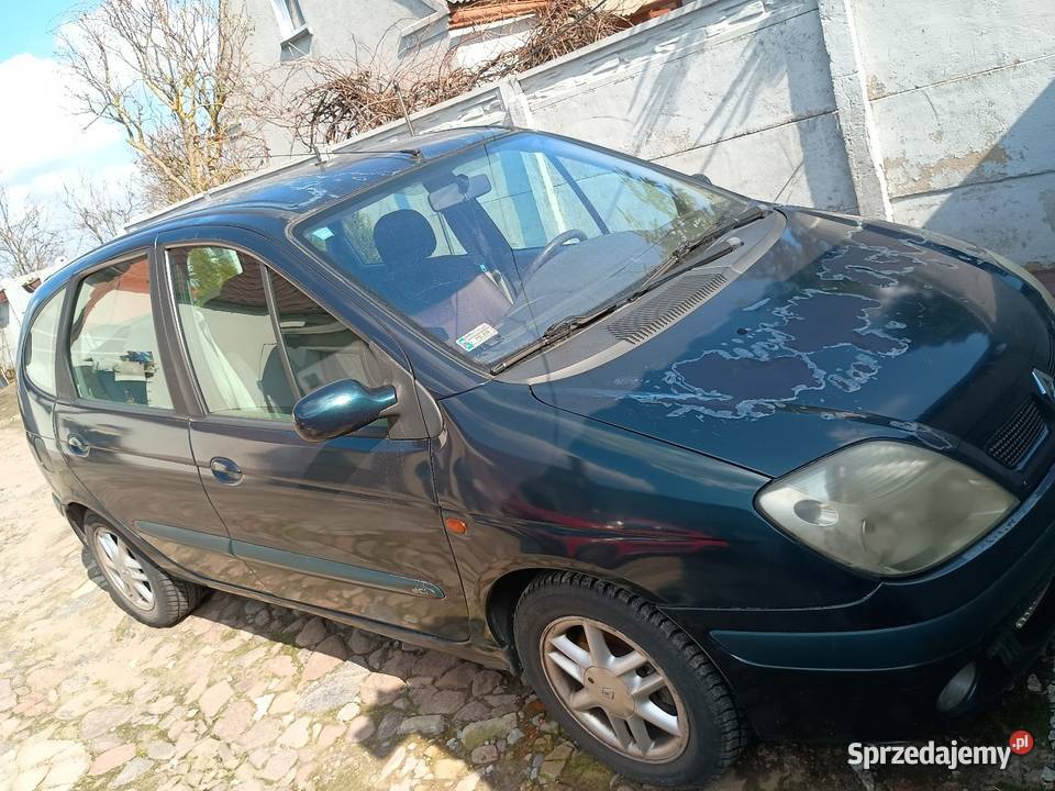 Sprzedam Renault Scenic zielony Scenic Motoryzacja Głogowa