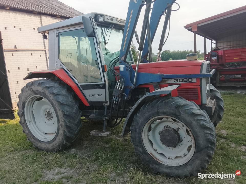 Massey Ferguson 3080 Kurów