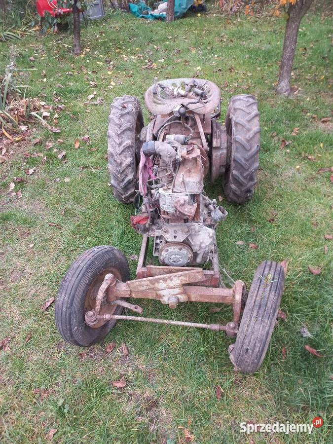 Ciągnik SAM Ursus C308 łódzkie Wola Pękoszewska