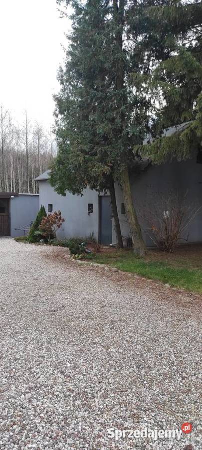 Zadbane siedlisko z 2 oddzielnymi budynkmi