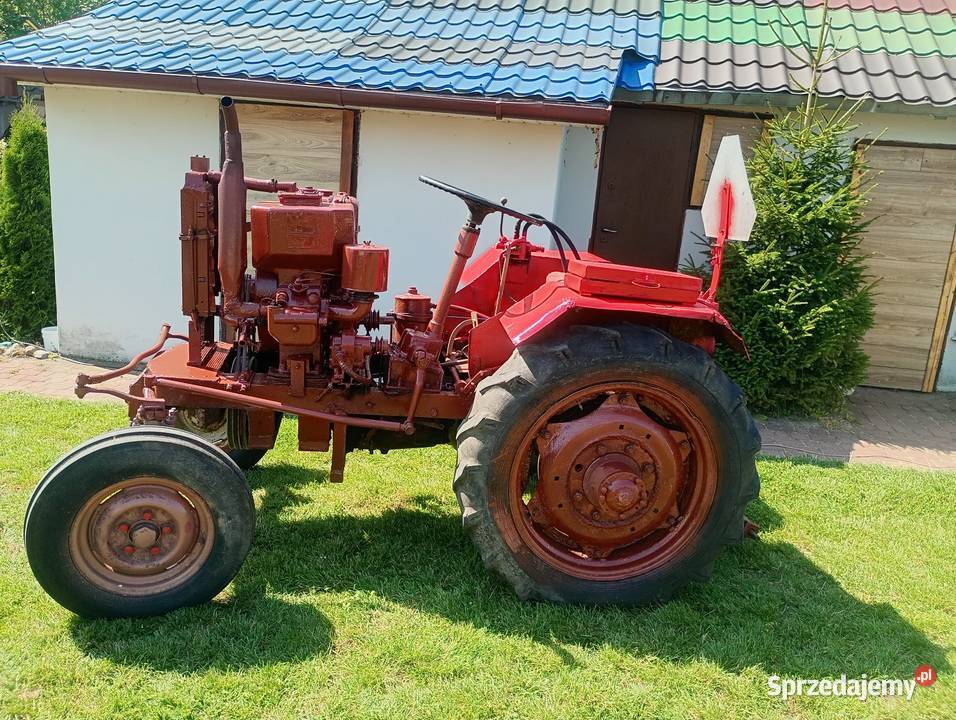Esiok15 na chodzę Pozostałe Lipce Reymontowskie