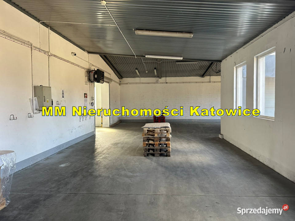 Hala magazyny chłodnia mroźnia do wynajęcia Radzionków