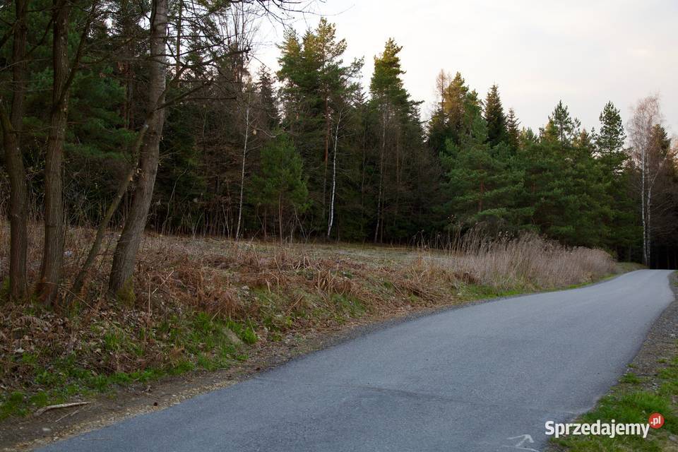 DZIAŁKA BUDOWLANOROLNA Z PIĘKNYM WIDOKIEM