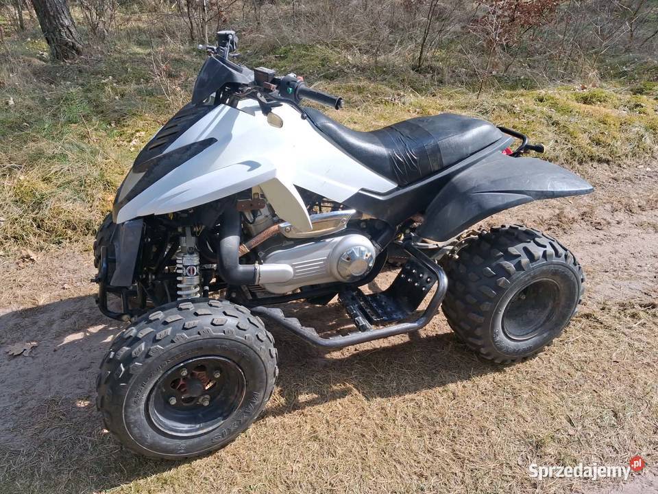 Dinli 360 Kalisz Pomorski