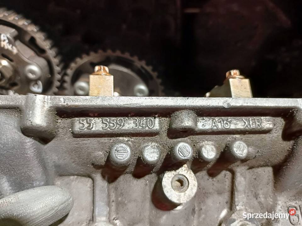 Opel 16 16V A16XER GŁOWICA CYLINDRÓW 55559340 Głowice cylindrów Rudka