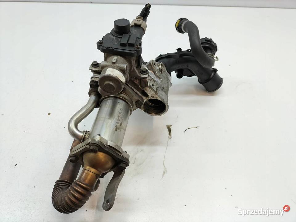 CHŁODNICA SPALIN 8200729079 15 DCI Renault Rok produkcji 2008