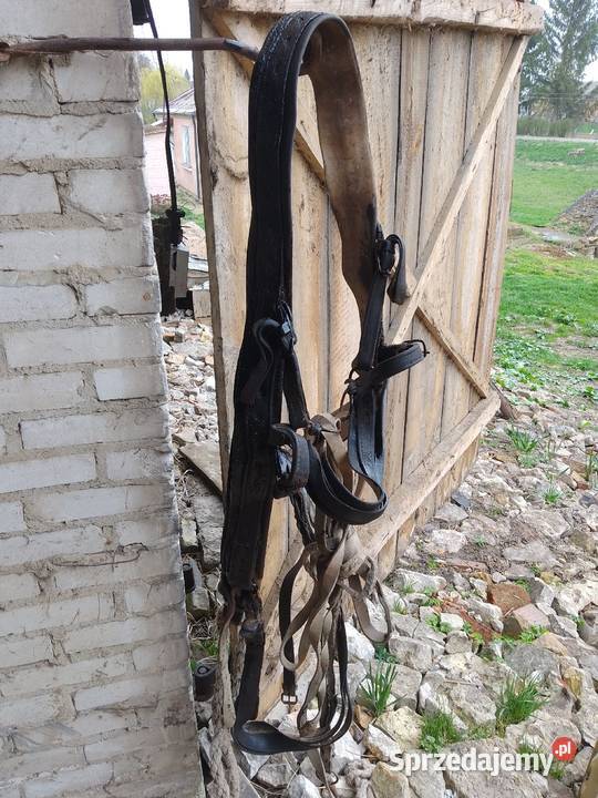 Uprząż konna Hrubieszów