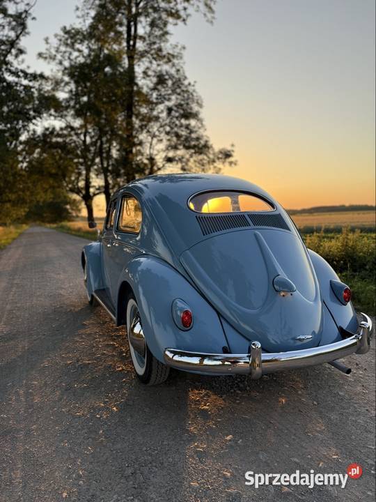Volkswagen Garbus Oval 1954 niebieski Olesno