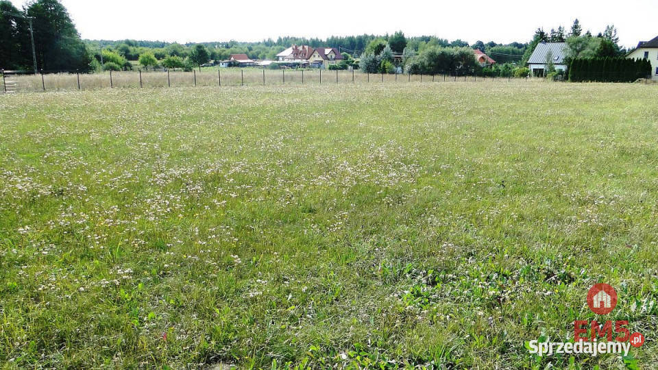 sprzedaży działki Letniki 4000m2 podlaskie sprzedam