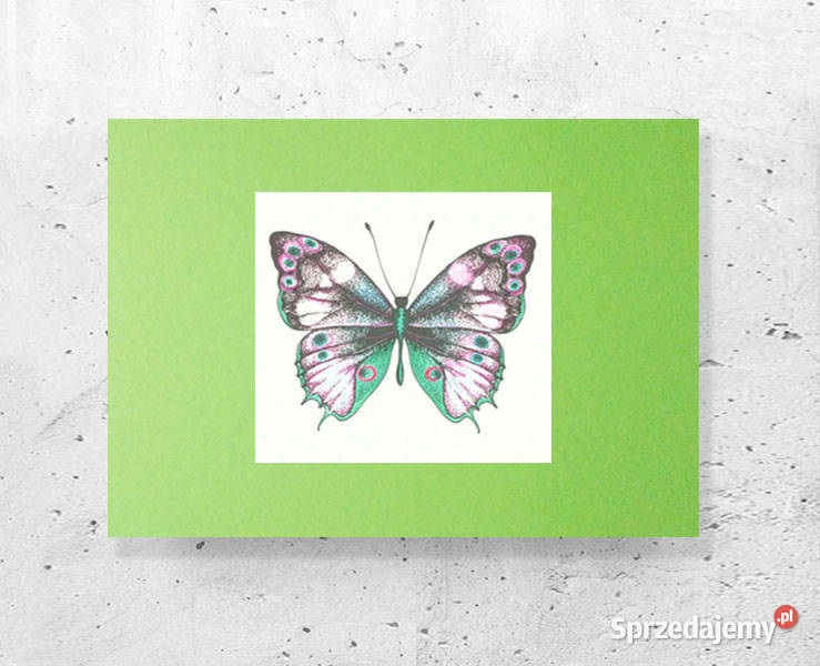 zielony plakat na ścianę motylek plakat a4 motyl odcienie zieleni Szczecin