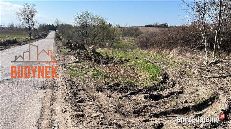 Działka rolna Kopnica Sprzedaż zachodniopomorskie