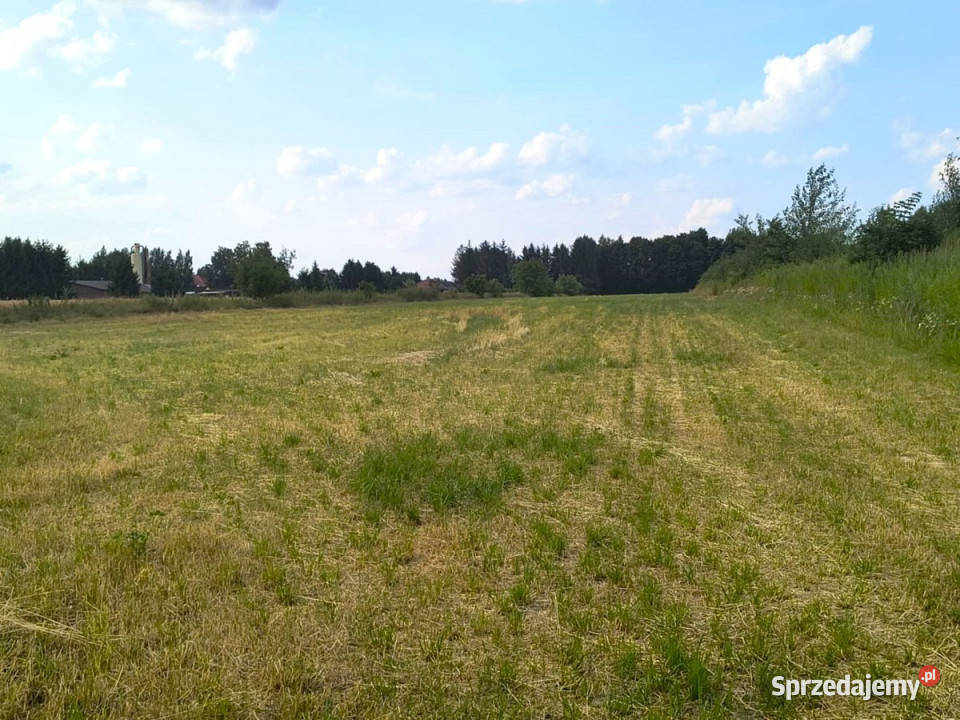 Ogłoszenie grunt Majdan Krasieniński 1500m2