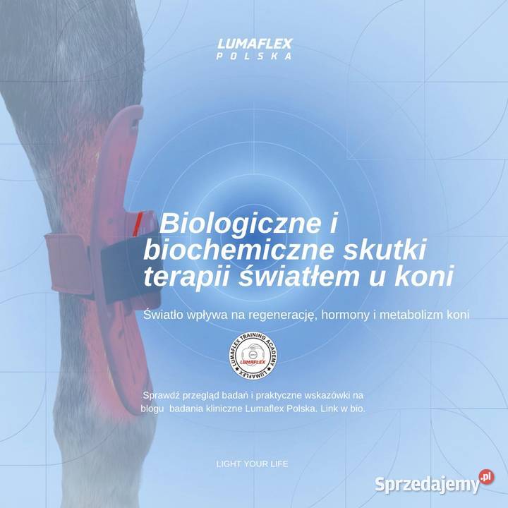 Lumaflex Essential najem Panel LED do terapii Szczecin