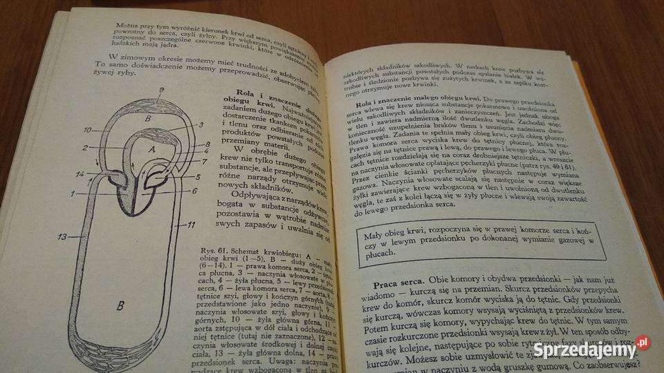 Nauka o człowieku klasy 8 podręcznik VIII Wanda Podręczniki