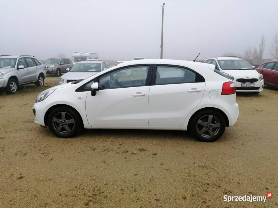 Kia Rio 12 85 klima elektryka zadbany III 2011 autoalarm Strzegom sprzedam