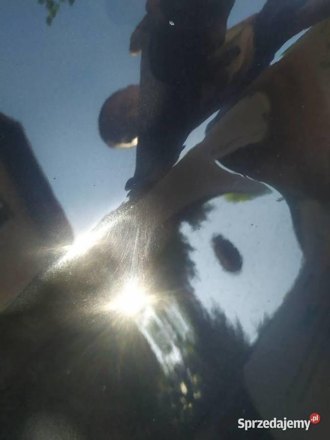 Maska alfa159 świętokrzyskie Opatów sprzedam