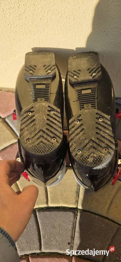 Munari wielkopolskie Koło