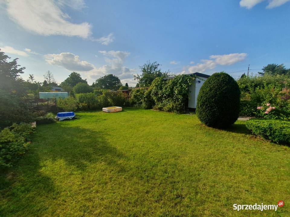 Działka ROD Kraszewskiego woda Pruszcz Gdański