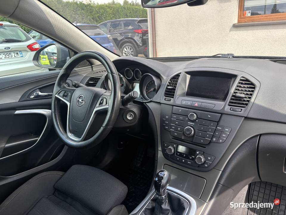 Opel Insignia Paniówki