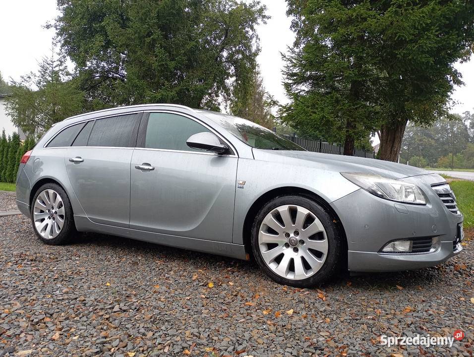 Insignia OPC line ładna zadbana Błędowa Tyczyńska