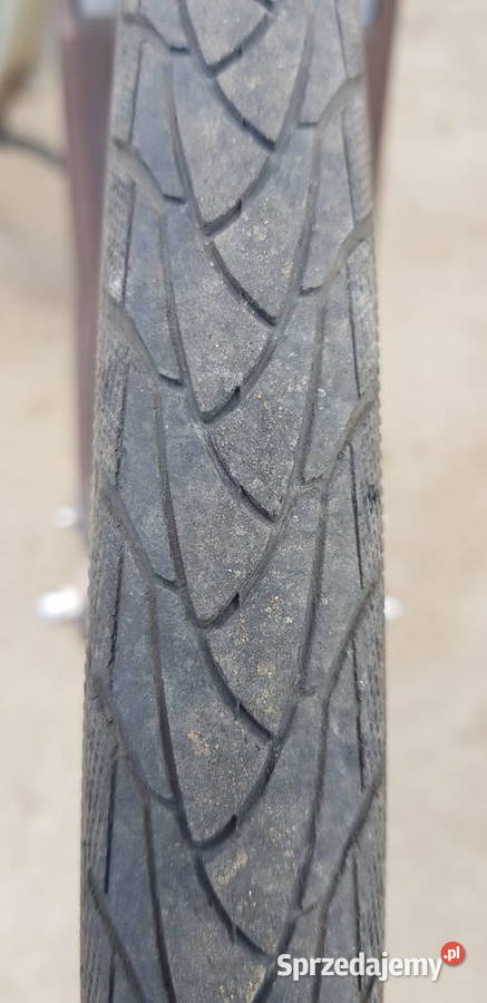 Rower Gazelle Gorzów Wielkopolski