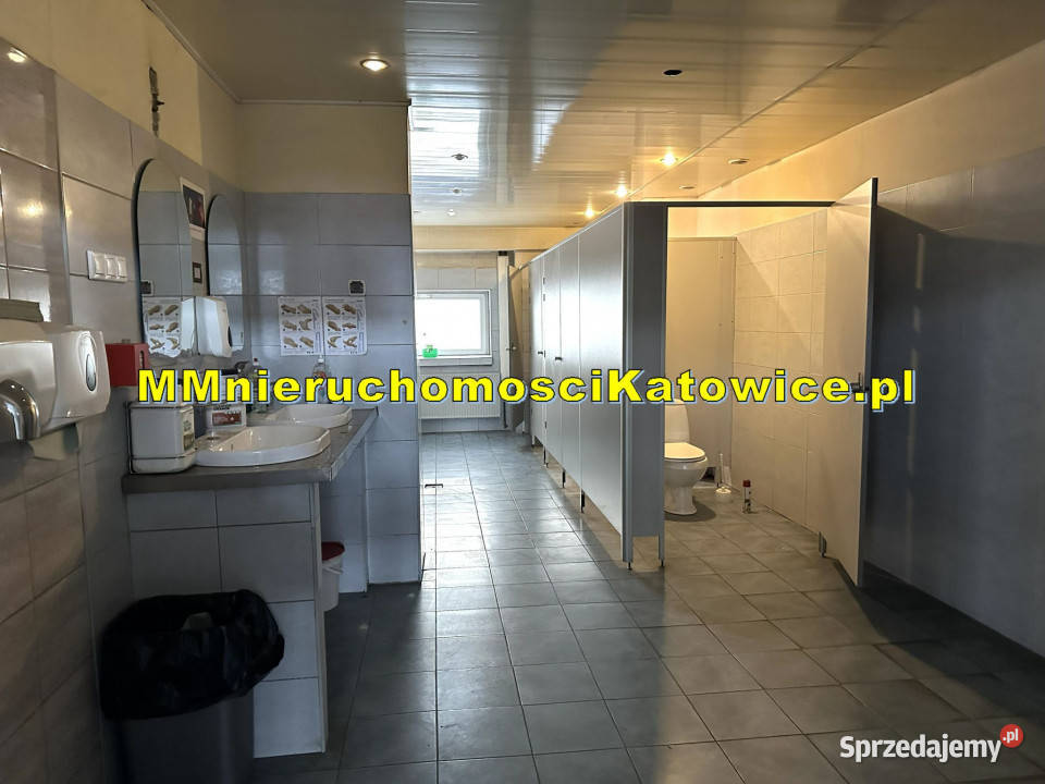Hala do wynajęcia Katowice plac suwnica biura winda
