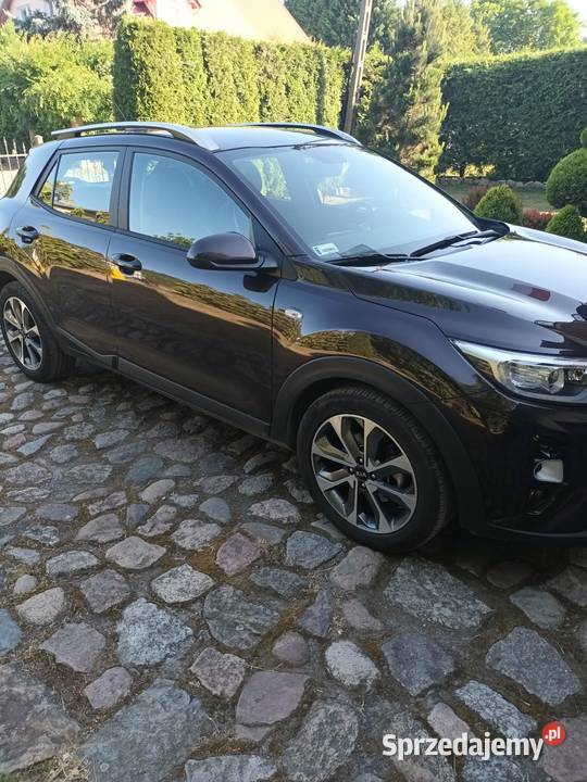 KIA STONIC 2019 pomorskie Pszczółki