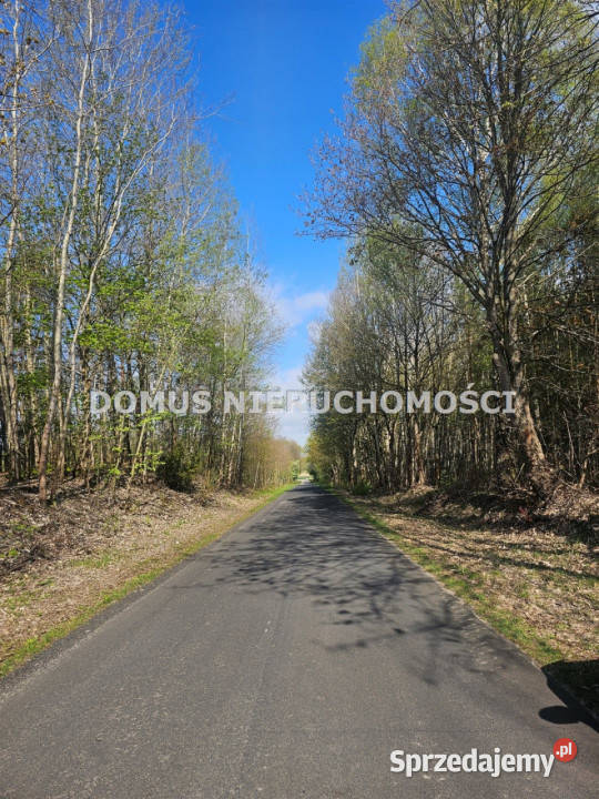 sprzedaży gruntu Teklin 6800m2 prąd sprzedam