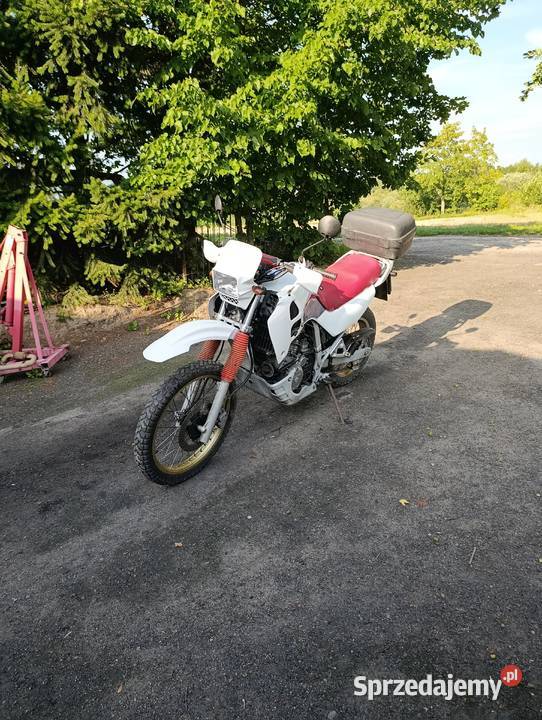 Honda xl600v transalp Honda Wąbrzeźno sprzedam