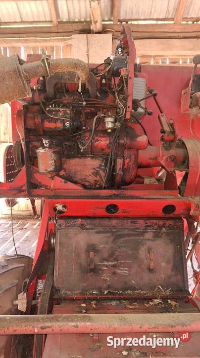 kombajn MF Miętkie-Kolonia