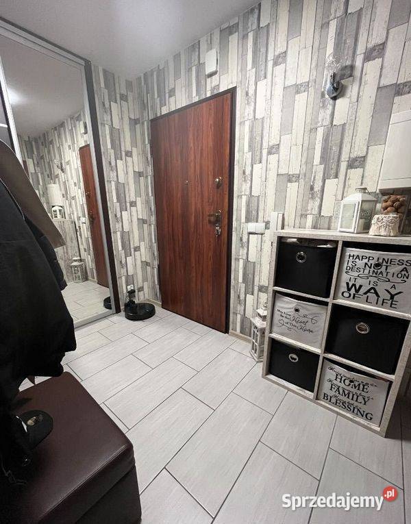 2pok 40met Babiego Lata OGRÓD2015 Wrocław