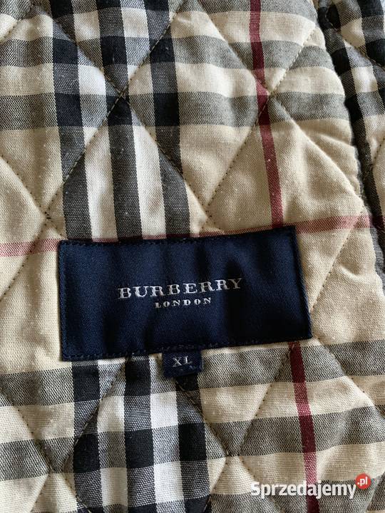 Kurtka angielska krata XXL