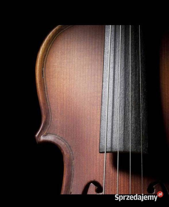 Strojenie i naprawa instrumentow muzycznych Przemyśl