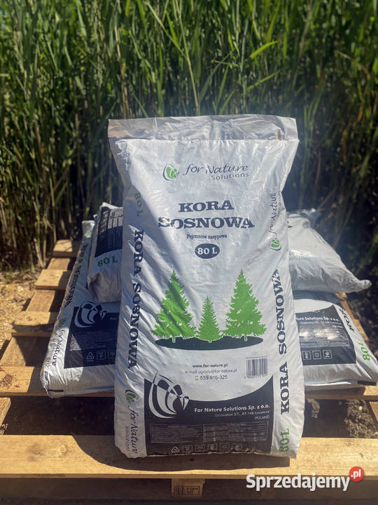 kora sosnowa sprzedam